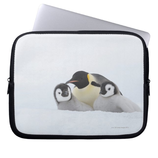 Kaiser Penguin (Aptenodytes forsteri) 2 Laptopschutzhülle (Vorderseite)
