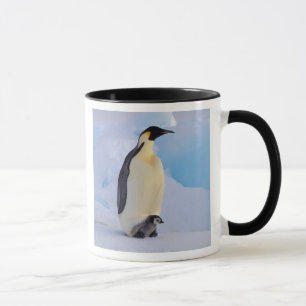 Kaiser Penguin Aptenodytes Tasse