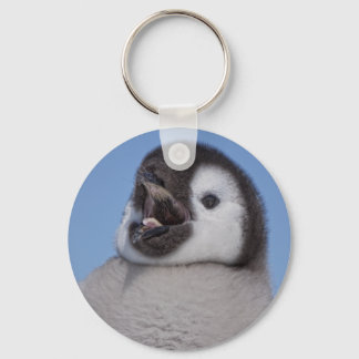 Kaiser Penguin Chick Schlüsselanhänger