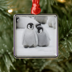 Kaiser Penguin Hühner auf Eis in der Antarktis Ornament Aus Metall
