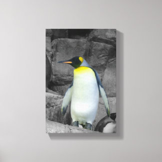 Kaiser Penguin Leinwanddruck