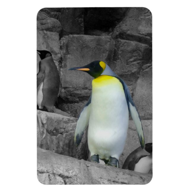 Kaiser Penguin Magnet (Vertikal)