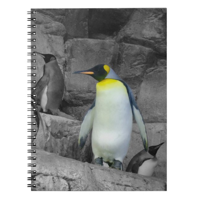 Kaiser Penguin Notizblock (Vorderseite)