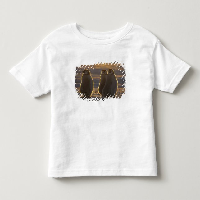 Kaiser Penguins Kleinkind T-shirt (Vorderseite)