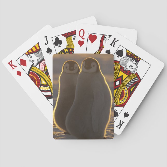 Kaiser Penguins Spielkarten (Rückseite)