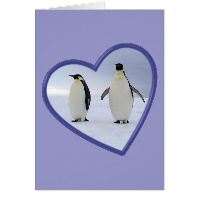 Kaiser-Pinguin (Vorne)