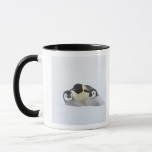 Kaiser-Pinguin (Aptenodytes forsteri) 2 Tasse