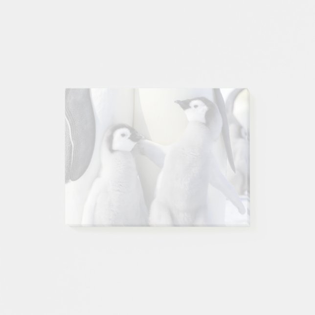 Kaiser Pinguin Chick Post-it Klebezettel (Vorderseite)