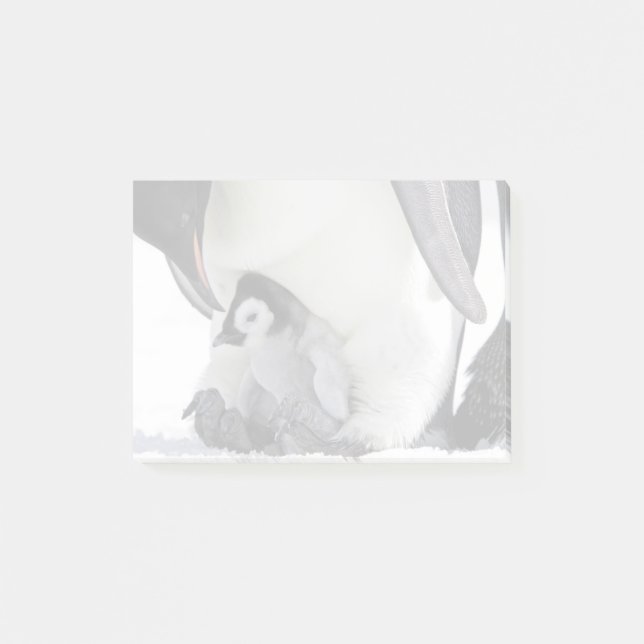 Kaiser Pinguin| Insel Snow Hill Post-it Klebezettel (Vorderseite)