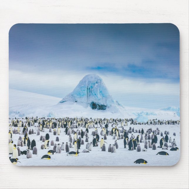 Kaiser-Pinguin-Kolonie Mousepad (Vorne)