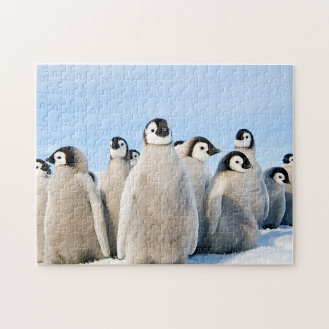 Kaiser-Pinguin-Küken - Puzzlespiel Puzzle (Horizontal)