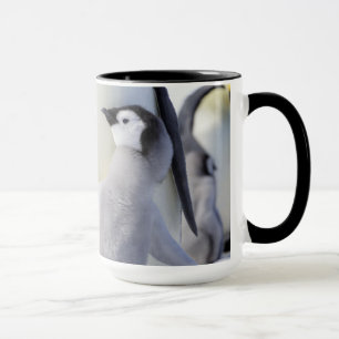 Kaiser-Pinguin-Küken Tasse