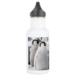 Kaiser-Pinguin-Kükenwasserflasche Trinkflasche