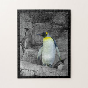 Kaiser-Pinguin Puzzle
