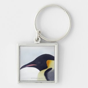 Kaiser-Pinguin, Schneehügelinsel, Weddel Meer Schlüsselanhänger