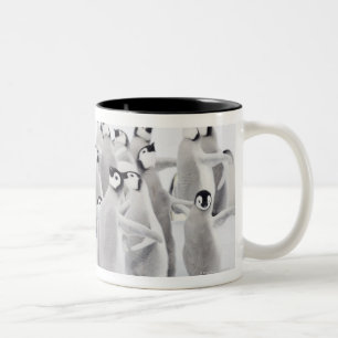 Kaiser-Pinguin Zweifarbige Tasse