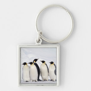 Kaiser-Pinguine Schlüsselanhänger