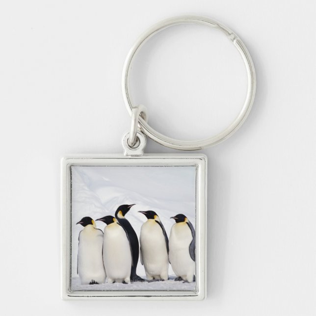 Kaiser-Pinguine Schlüsselanhänger (Vorne)