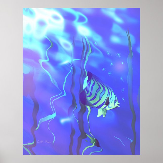Kaiserfisch-Blues Poster (Vorne)