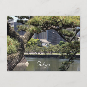 Kaiserkomplex Postkarte