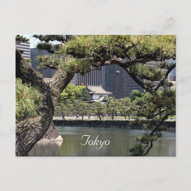 Kaiserkomplex Postkarte (Vorderseite)