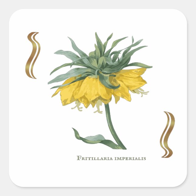 Kaiserkrone Sticker quadratisch (Vorderseite)