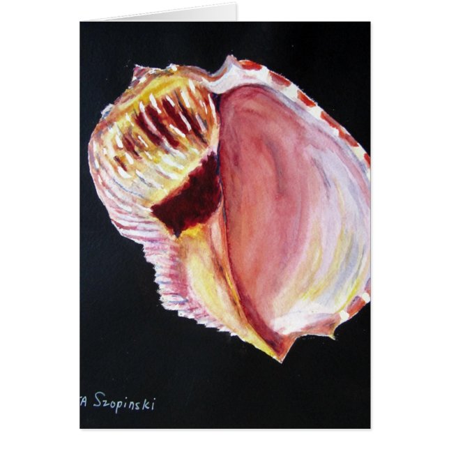 Kaiserliche Harfe (Vorne)