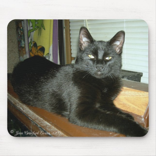 Kaiserliche Kitty Mousepad (Vorne)