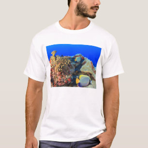 Kaiserlicher Engelfisch Pygoplites diacanthus), T-Shirt