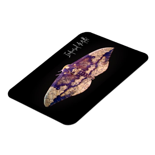 Kaisermond Magnet (Linke Seite)