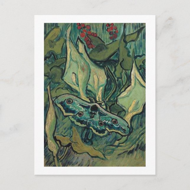 Kaisermotte, Vincent van Gogh Postkarte (Vorderseite)