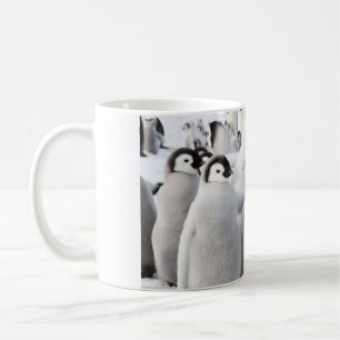 Kaiserpenguin-Küken-Tasse Tasse