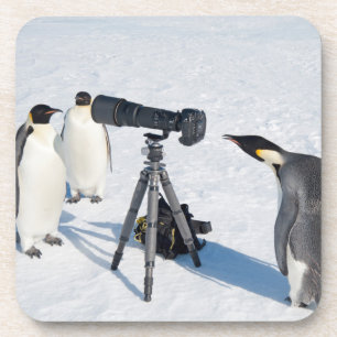 KaiserPenguins mit Kamera - GetränkeUntersetzer