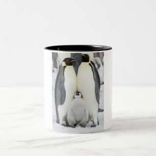 KaiserPenguins mit Küken - Tasse
