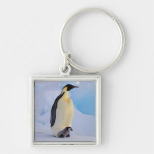 Kaiserpinguin Aptenodytes Schlüsselanhänger