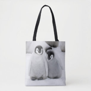 Kaiserpinguin-Küken auf Eis in der Antarktis