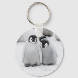 Kaiserpinguin-Küken auf Eis in der Antarktis Schlüsselanhänger