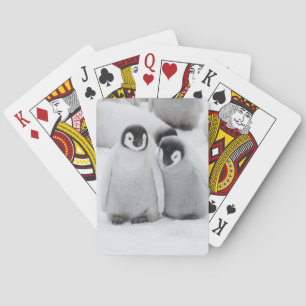 Kaiserpinguin-Küken auf Eis in der Antarktis Spielkarten