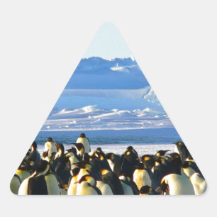 Kaiserpinguine Dreieckiger Aufkleber