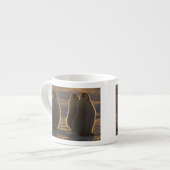 Kaiserpinguine Espressotasse (Vorderseite Links)
