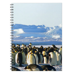 Kaiserpinguine Notizblock