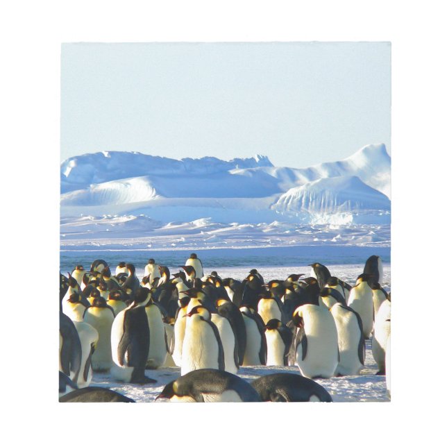 Kaiserpinguine Notizblock (Vorderseite)