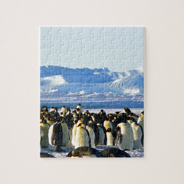 Kaiserpinguine Puzzle (Vertikal)