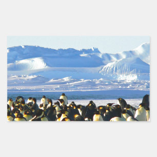 Kaiserpinguine Rechteckiger Aufkleber