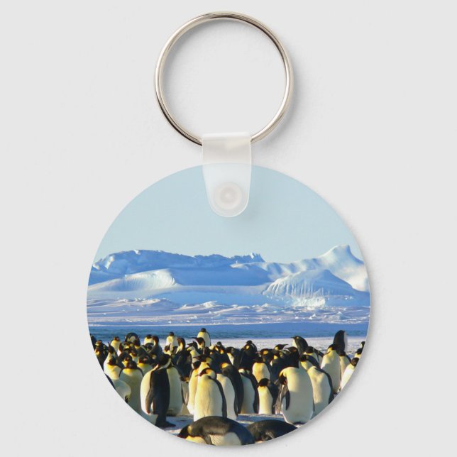 Kaiserpinguine Schlüsselanhänger (Vorderseite)