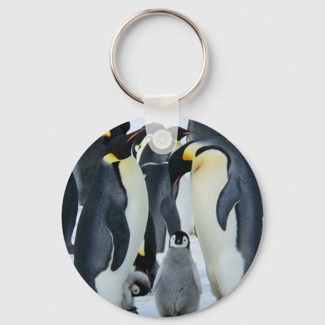 Kaiserpinguine Schlüsselanhänger (Vorderseite)