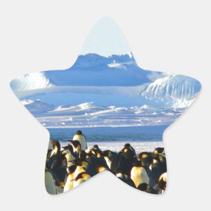 Kaiserpinguine Stern-Aufkleber