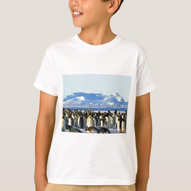 Kaiserpinguine T-Shirt (Vorderseite)
