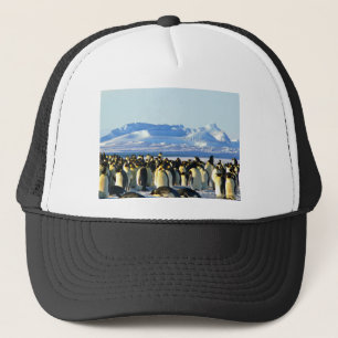 Kaiserpinguine Truckerkappe