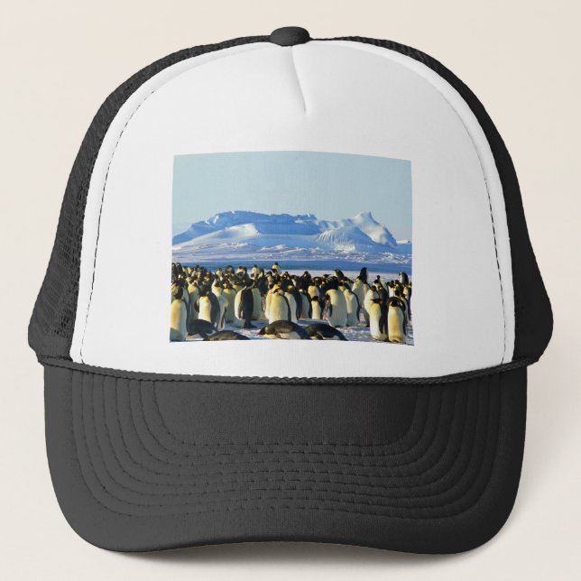 Kaiserpinguine Truckerkappe (Vorderseite)